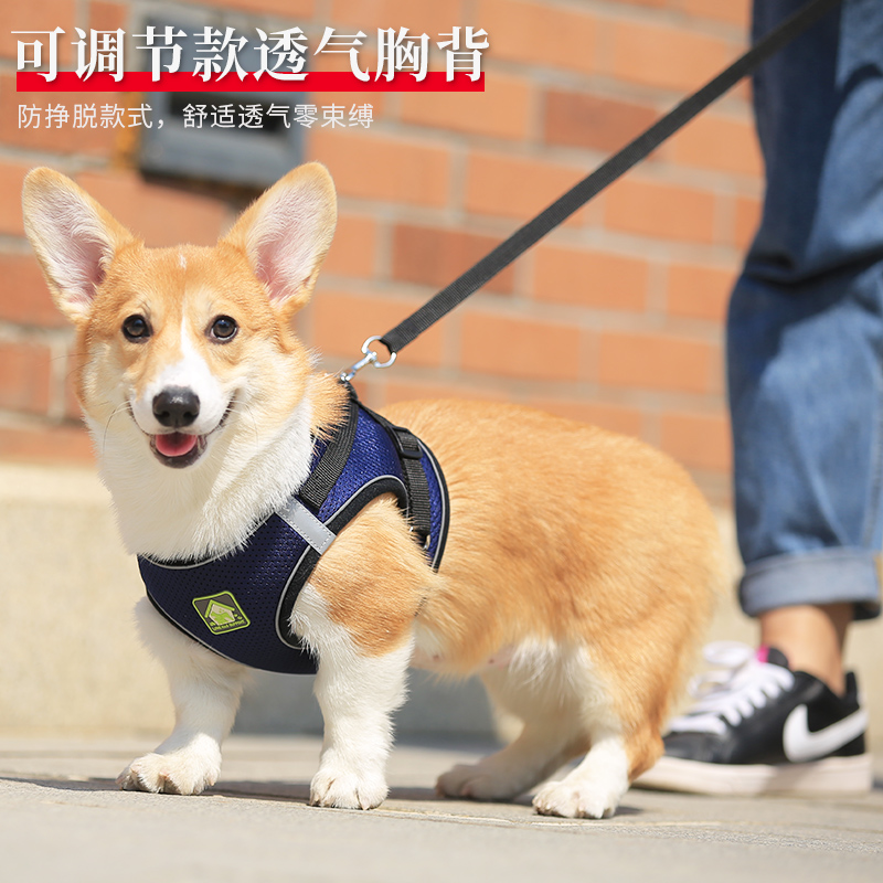 Dog traction rope small dog Teddy Corgi vest-style dog holding baby bag Bichon Pomeranian dog chain pet dog walking rope