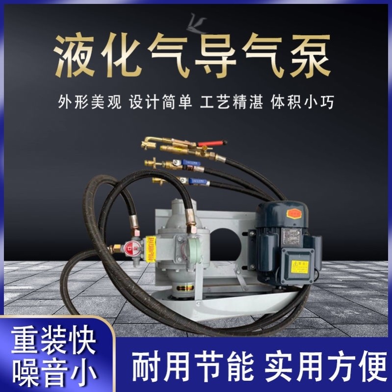 New household 220v liquefied gas air pump car 48v12v gas guide pump large bottle guide small bottle inflator