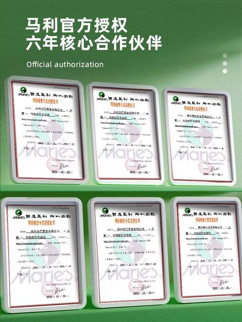 Marley Brand 100M/Bottle Acrylic Paint Set, Non-Toxic DIY Wall Painting Paint for Children, Waterproof and Sun-Resistant, Gold, White, Stone DIY Texture Painting Acrylic Painting Tool Set