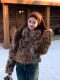 Hot Girl Style Leopard Print Fur Short Coat for Women, Autumn and Winter, High-End Feel, Petite Size, Warm and Thick Woolen Top