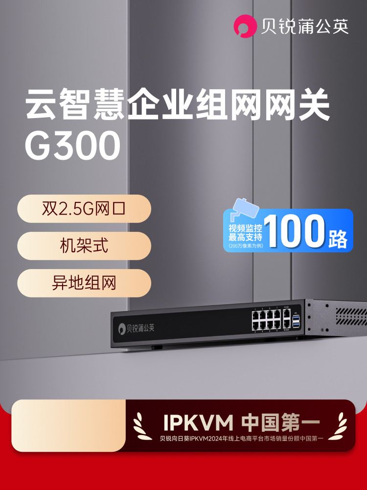 Dandelion Enterprise Router G300 Dual Wan Ports 2.5g Remote Networking Intranet Penetrating Nas Gigabit 10-Port Multi-Port USB Rack-Mounted Remote Plc Debugging Industrial Video Surveillance