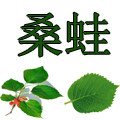 桑蛙旗舰店