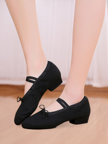 Dance Shoes Woman with Soft Bottom Practice Adults Dancing Professional Canvas National Belly Belly Ballet Classical Teacher Shoes