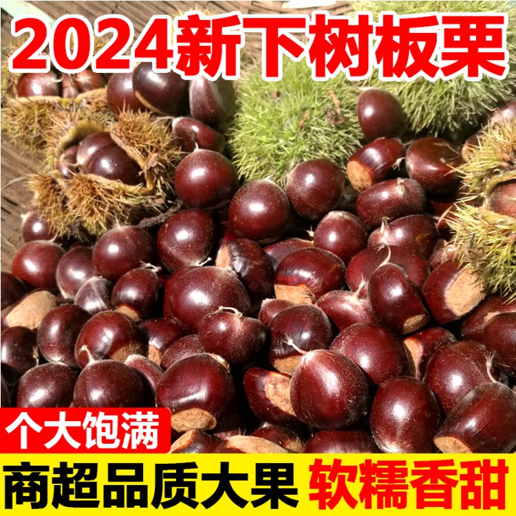 新鲜生栗子5斤当季农家现摘油栗去刺壳粉糯板栗蔬菜包邮丹东板栗怎么挑?-新鲜板栗板栗仁-淘宝好物网