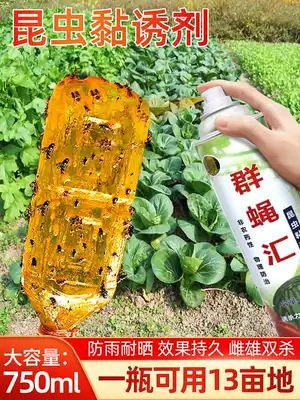 Melon fruit fly, sticky fruit fly, special medicine, needle, Bee, attractant, slime, yellow plate, stick trap, artifact