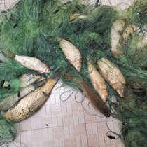 Imported thick silk three-layer in-one sticky fish net to strengthen the thick not wrapped net 100 meters hurdles in the river to catch the fishing net