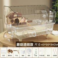 [Прозрачная модель гриба] Акриловая туннельная клетка