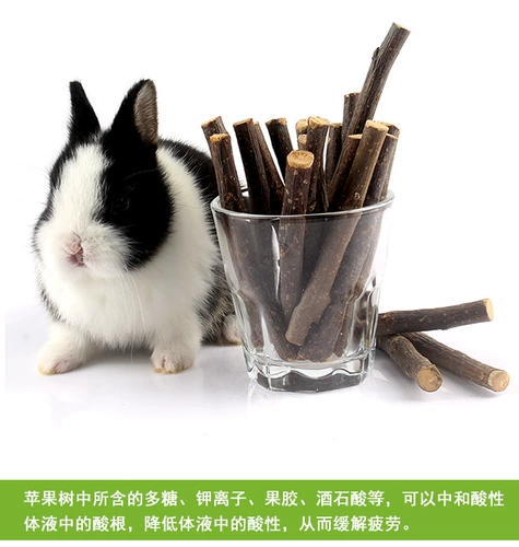 Хомяк шлифовальный стержень яблоки ветви питания закуски, филиалы, кролики, набор игрушек с голландской свининой по соседству