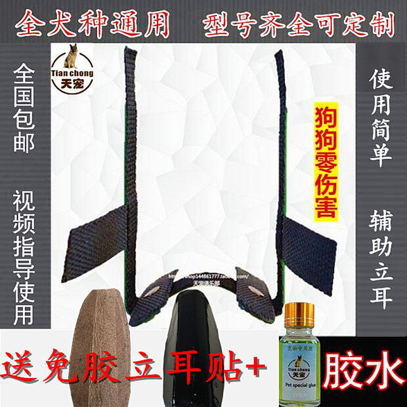 Dubin Black Wolvern Shepherd Wolf Blue Shepherd Pet Puppies Erect ear Ears Beads puppies erect ear bracket