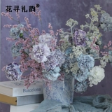 Цветы, поглощающие красительский агент розы, звездный макарон, раскраска