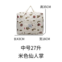 Бежевый кактус (27 литров в середине, двойной слой) имеет либу, и с обеих сторон есть чистые карманы