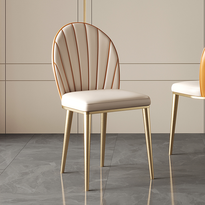 BSYL-Light Lavish Dining Chair Home Dining Room Chair 153 Vertical Wire Chair