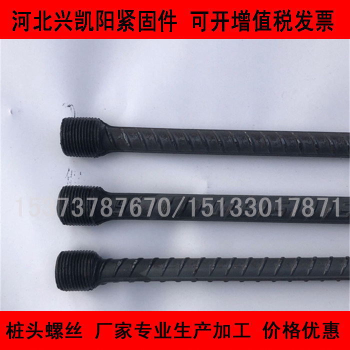 Manufacturer custom pile screw hot threaded steel pile head head wire pipe pile single head thread steel bar pile screw