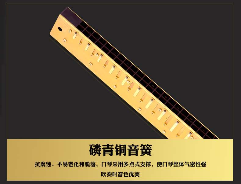 Harmonica 28 lỗ c typography giọng rộng phạm vi trẻ em mới bắt đầu người lớn chơi nhạc cụ chuyên nghiệp - Nhạc cụ phương Tây trống