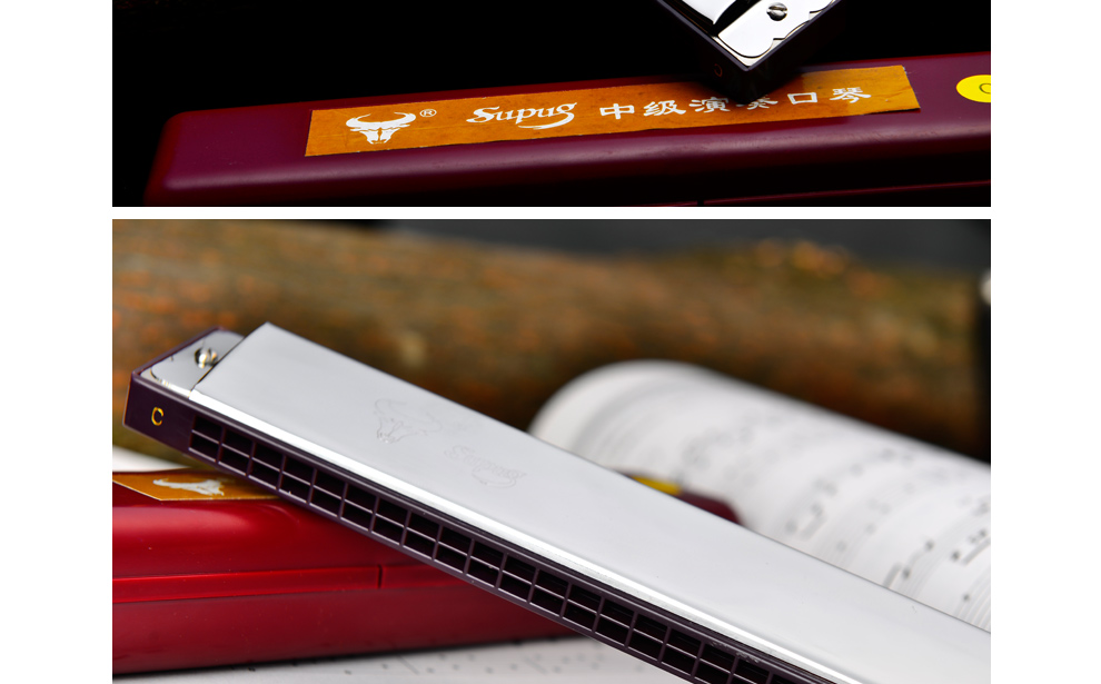 Harmonica Harmonica 24 lỗ cho trẻ em người mới bắt đầu học sinh trưởng thành tự học nhập liệu điều chế c - Nhạc cụ phương Tây kèn tàu