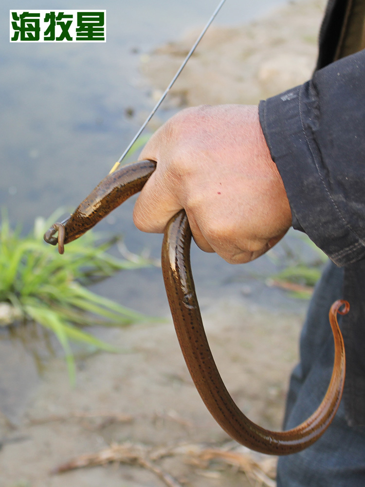 Haimuxing stainless steel extended eel hook Manual soft and hard eel lead strip night electric fishing lazy hook eel hook