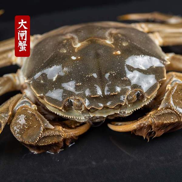 现货现发 秋卡 鲜活大闸蟹 3.4两 公蟹、母蟹各4只 天猫优惠券折后￥98.9包邮（￥138.9-40）