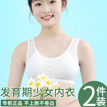 Developmental adolescent girls underwear pure cotton mesh breathable middle school students big girls wipe breast small vest summer