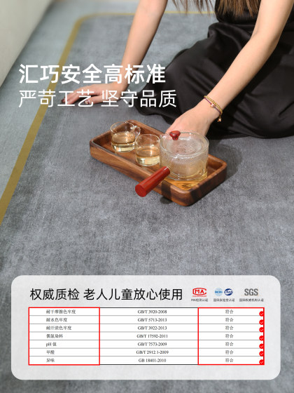 地毯客厅2025新款轻奢高级感房间卧室免洗可擦家用沙发茶几地垫大