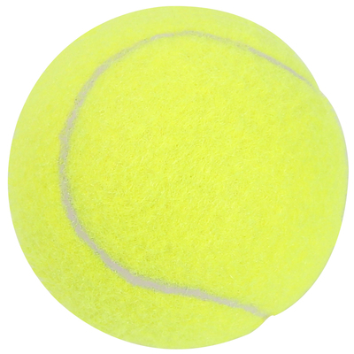 网球训练球初学者练习球3个