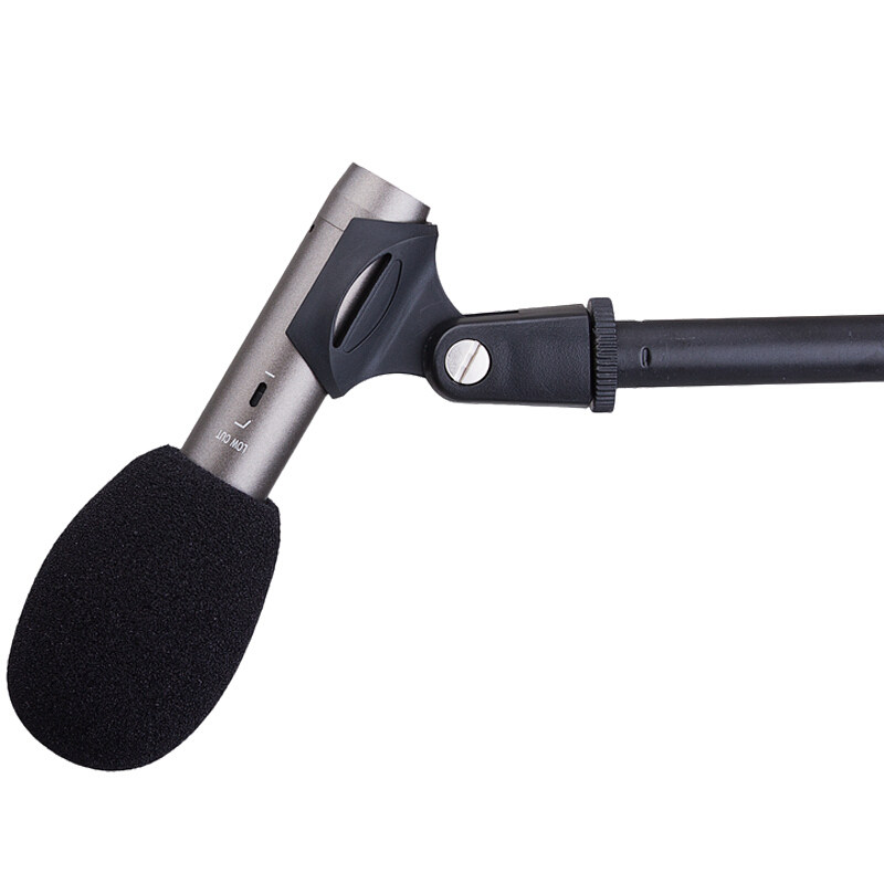 Takstar has to win the CM-60 instrument microphone recording microphone stage ten Sound the aforementioned mic