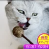 Товары от 仔仔熊家居专营店