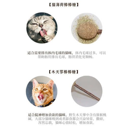 Кошачья закуска кошачья мят с леденцом для палочки с палочкой кошачьего моляра молярные очищающие зубы, деревянные поставки игрушек с кошачьей кошкой для крикета