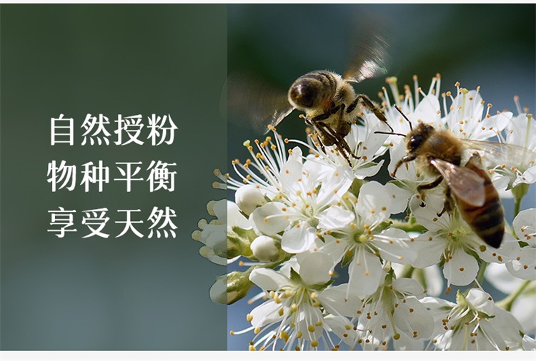 【百果园店】西瓜红蜜薯番薯