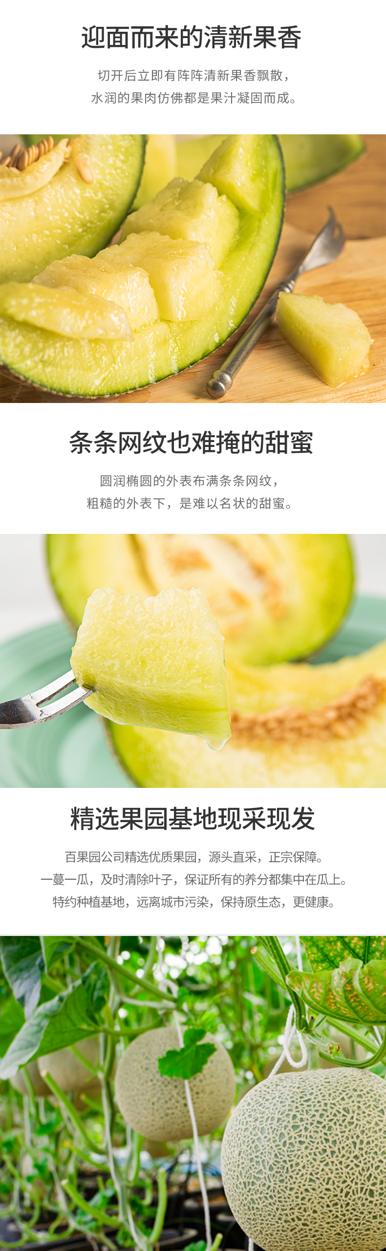 瓜中贵族 百果园 海南玫珑蜜瓜 2个装 净重4斤以上 图3