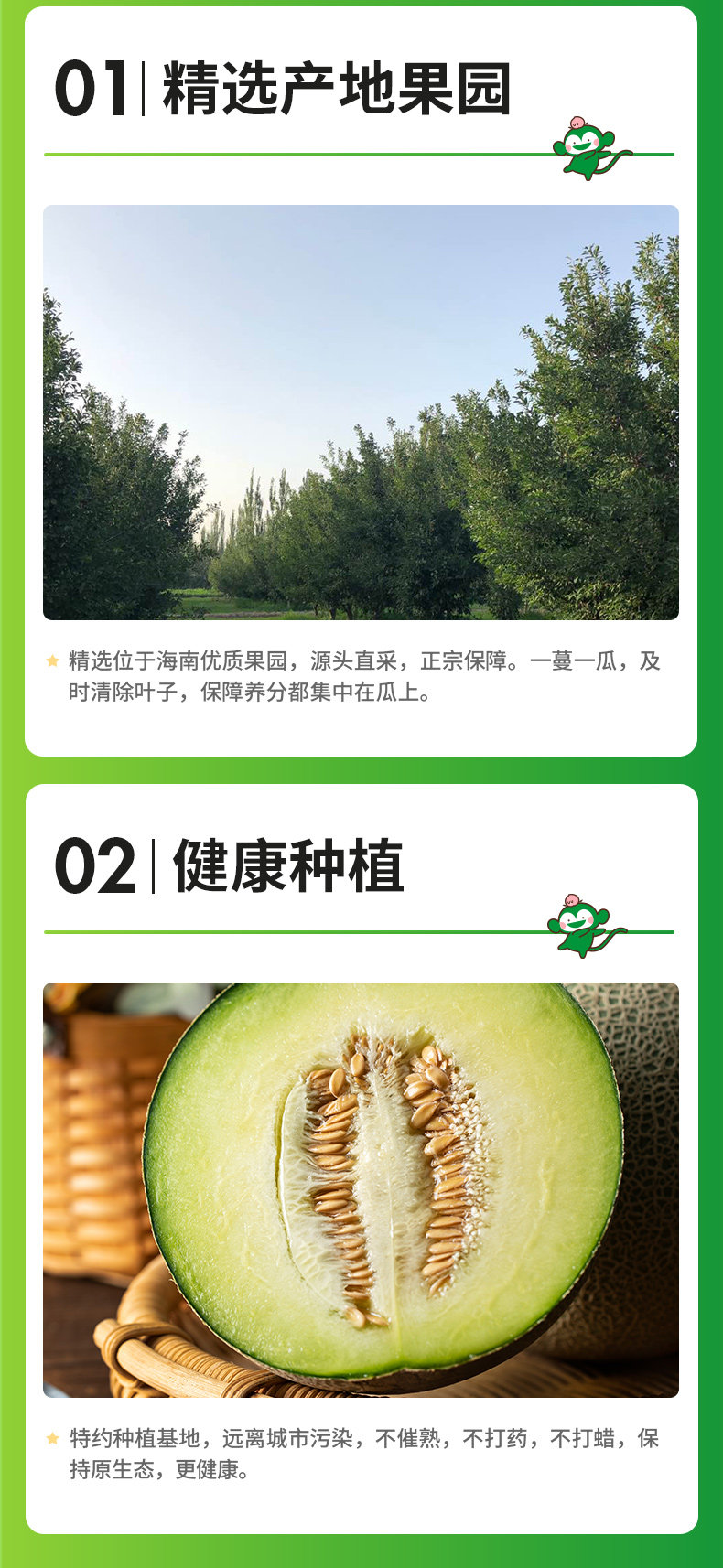瓜中贵族 百果园 海南玫珑蜜瓜 2个装 净重4斤以上 图6