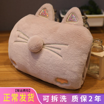 Hot water bottle rechargeable cartoon cute warm baby detachable and washable plush explosion-proof electric warm treasure female stomach has been filled with water