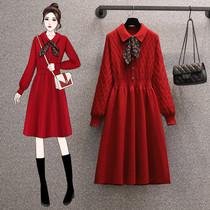 Pregnancy womens clothing autumn and winter fashion New Years Eve Broken Flowers butterfly knots small scented wind Livetresses Skirt Belly slim sweater to underdress