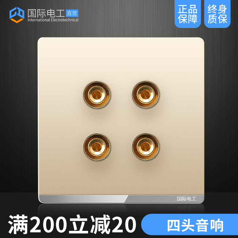 International Electrotechnical gold large board switch socket Four-head audio socket Audio audio socket Two-position audio socket