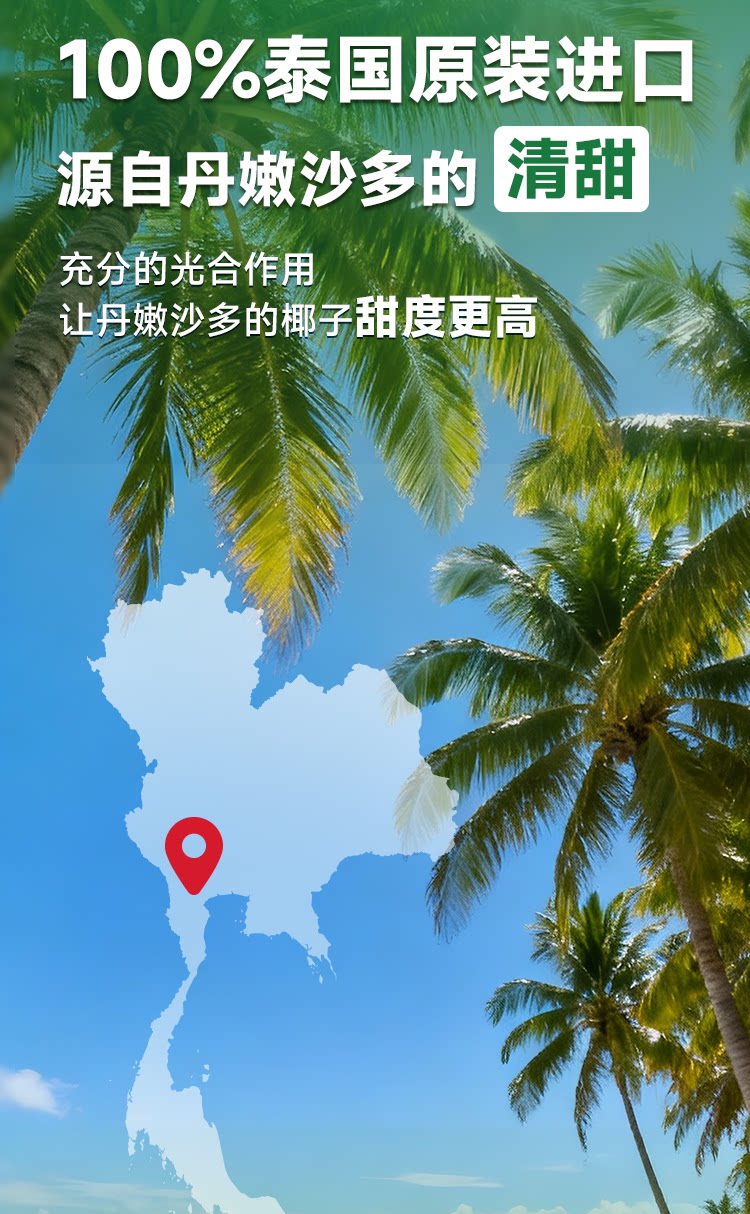 安享好物 安享B级果汁-均瑶纯实椰子水  