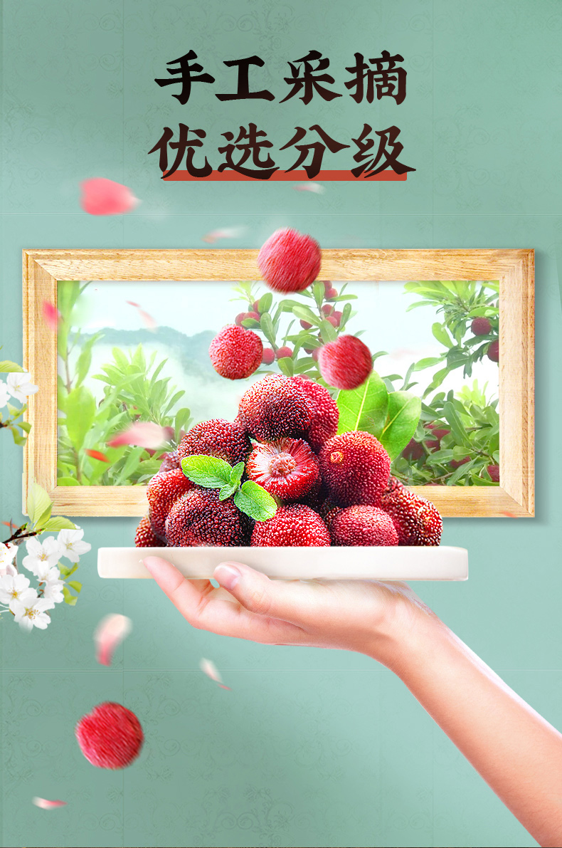 孕后托腹带孕妇专用孕中期晚期透气耻骨痛托