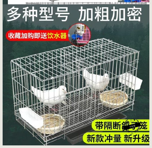 Специальная проволочная сетка для голубиной клетки, сетка для сбора голубей, сетка для клетки с поддоном, для курятника, многофункциональная, бытовая, большая, прочная клетка