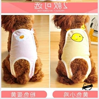 Физиологические штаны для собак маленькие собаки, шорты для собак собаки, сука, плюшевая борьба, менструальные штаны, тетя, тетя