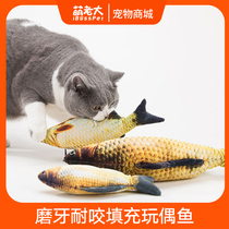 Cat toy plush toy simulation crucian carp toy plush pillow teddy golden retriever dog pet supplies
