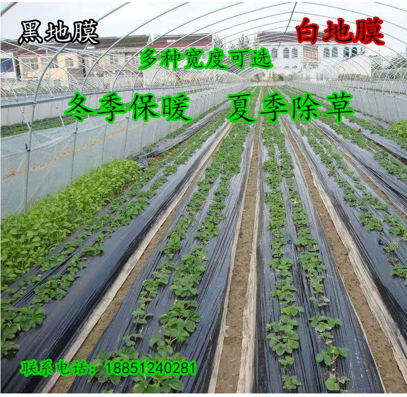 Agricultural plastic film Black white transparent thickened Weeding Mulch Vegetables Fresh Preservation Insulation Sapling Protection Special Membrane