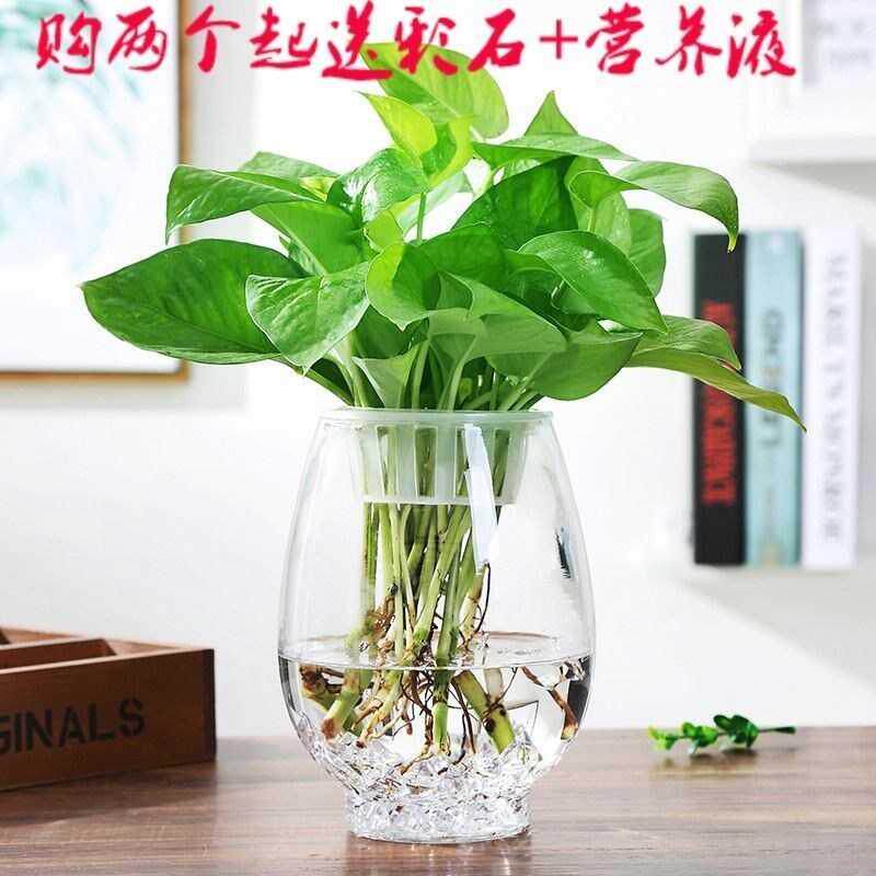 Large number transparent glass European style vase hydropony gold Ge Guanyin bamboo vase fish tank container pendulum piece 54