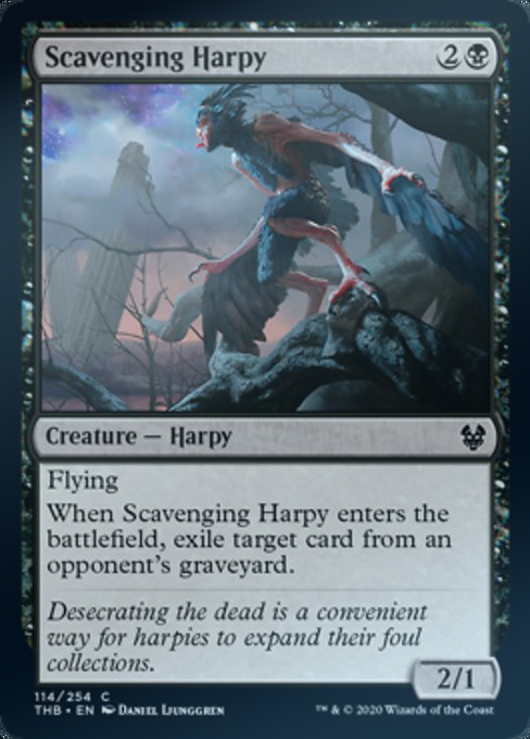 MTG Magic Storm will THB pick up the willy Huppie Scavenging Harpy black iron 114 English flash