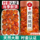 Tremella Peach Gum Natural Wild Flagship Store Genuine Impurity-Free Combination Snow Swallow Saponin Rice Red Dates Goji Berry Instant Soup