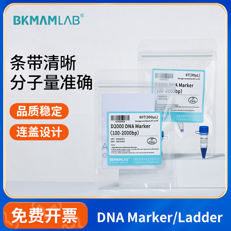 比克曼生物DNA Marker/Ladder核酸电泳DNA分子标准化学试剂D2000