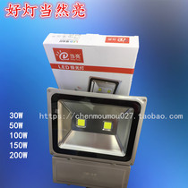 When bright 100W backpack series floodlight protection level IP6530w50w150w200w integrated light