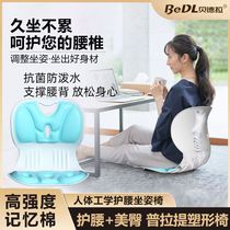 Body ergonomic cushions Waist Fitness Chair Office for a long time sitting without tired Shenzhiers Back to body Corrected Beauty and hip cushions