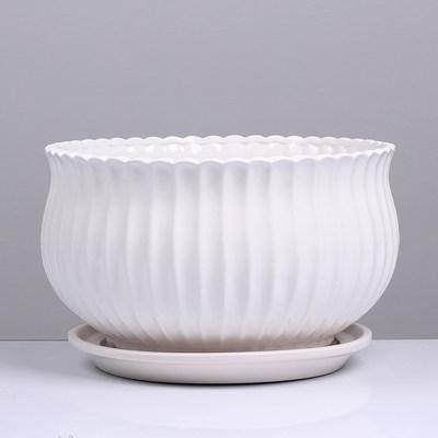 Desert rose dedicated pot basin ceramic with tray indoor potted green plant POTS of meat the plants more round the balcony