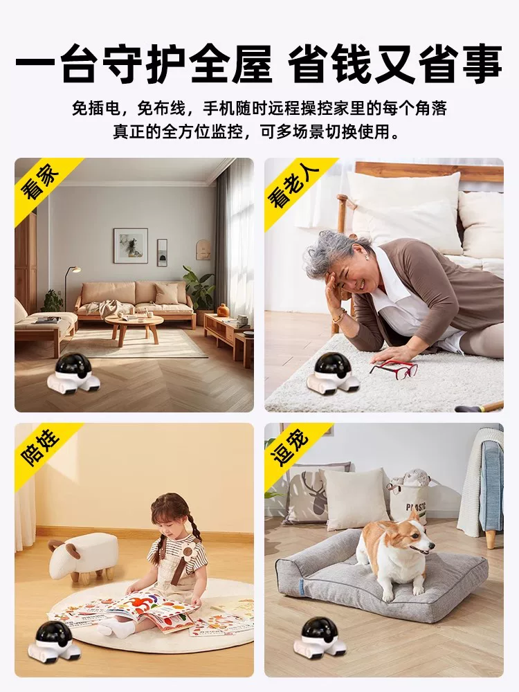 Monitor, robot, wireless mobile phone, smart CCTV camera, pet
