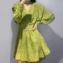 2020 summer dress new womens large size green floral skirt temperament goddess fan clothes slim waist dress