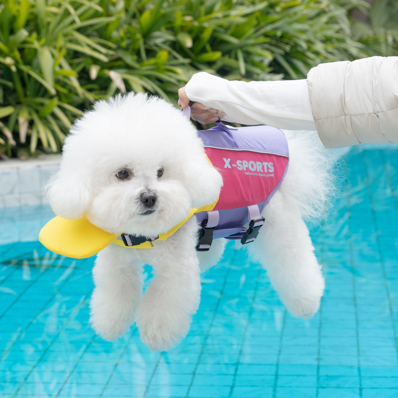 Pet Dog Life Jacket Vest-Style Swimsuit for Small Dogs, Colorful Vest Swimsuit, Anti-Drowning, Quick-Drying, High Buoyancy Pet Dog Life Jacket Vest-Style Swimsuit for Small Dogs, Colorful Vest Swimsuit, Anti-Drowning, Quick-Drying, High Buoyancy