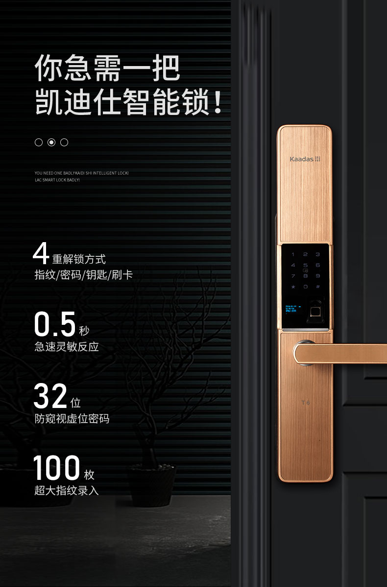 刘涛代言 凯迪仕 T6 家用指纹锁 智能锁 图3